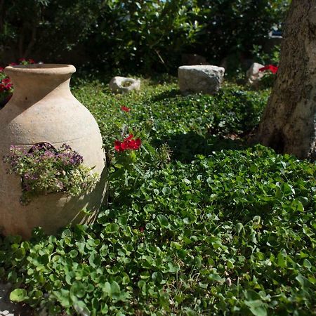 Grandi Trulli Bed & Breakfast Alberobello Eksteriør bilde